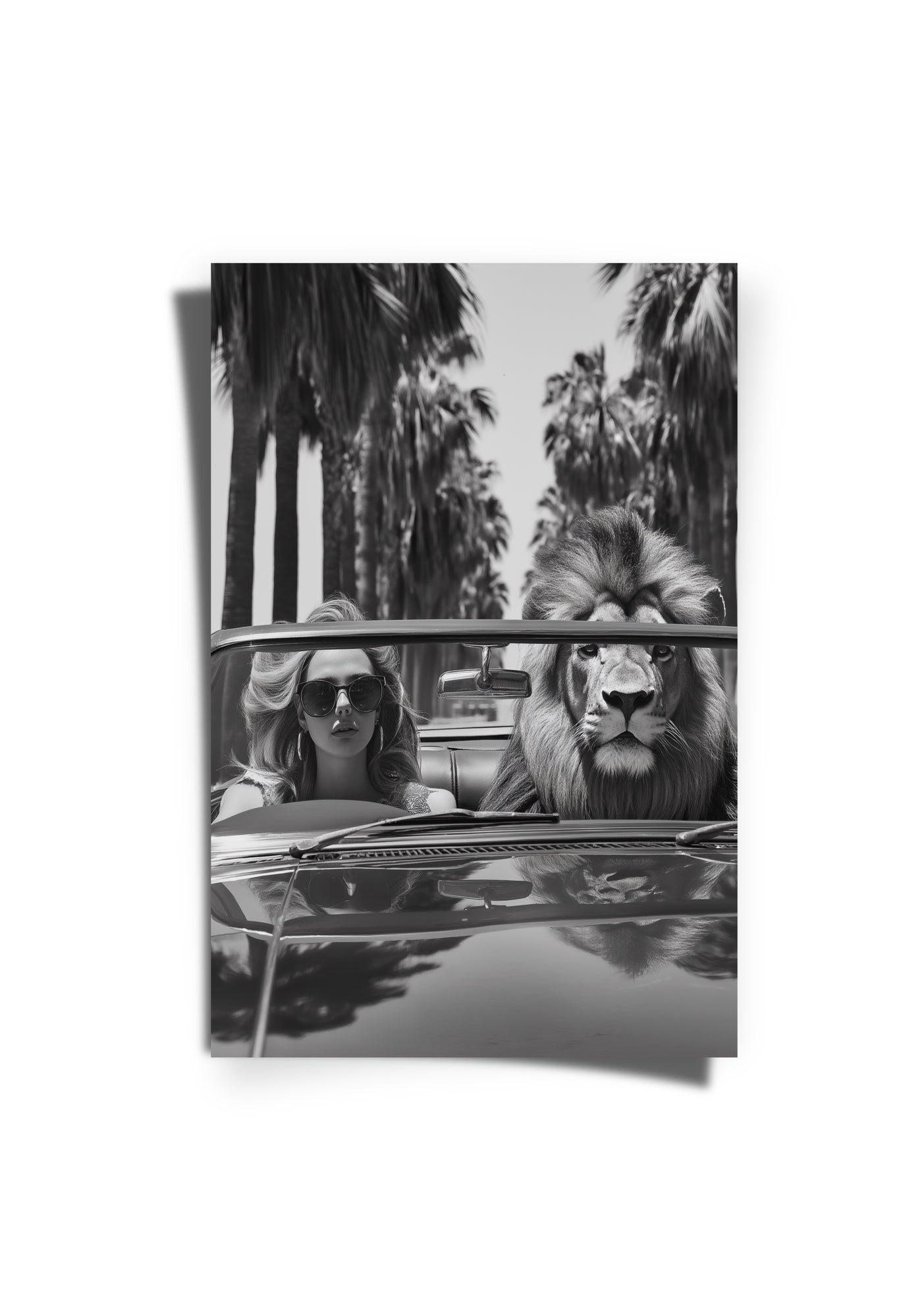 Summer Drive