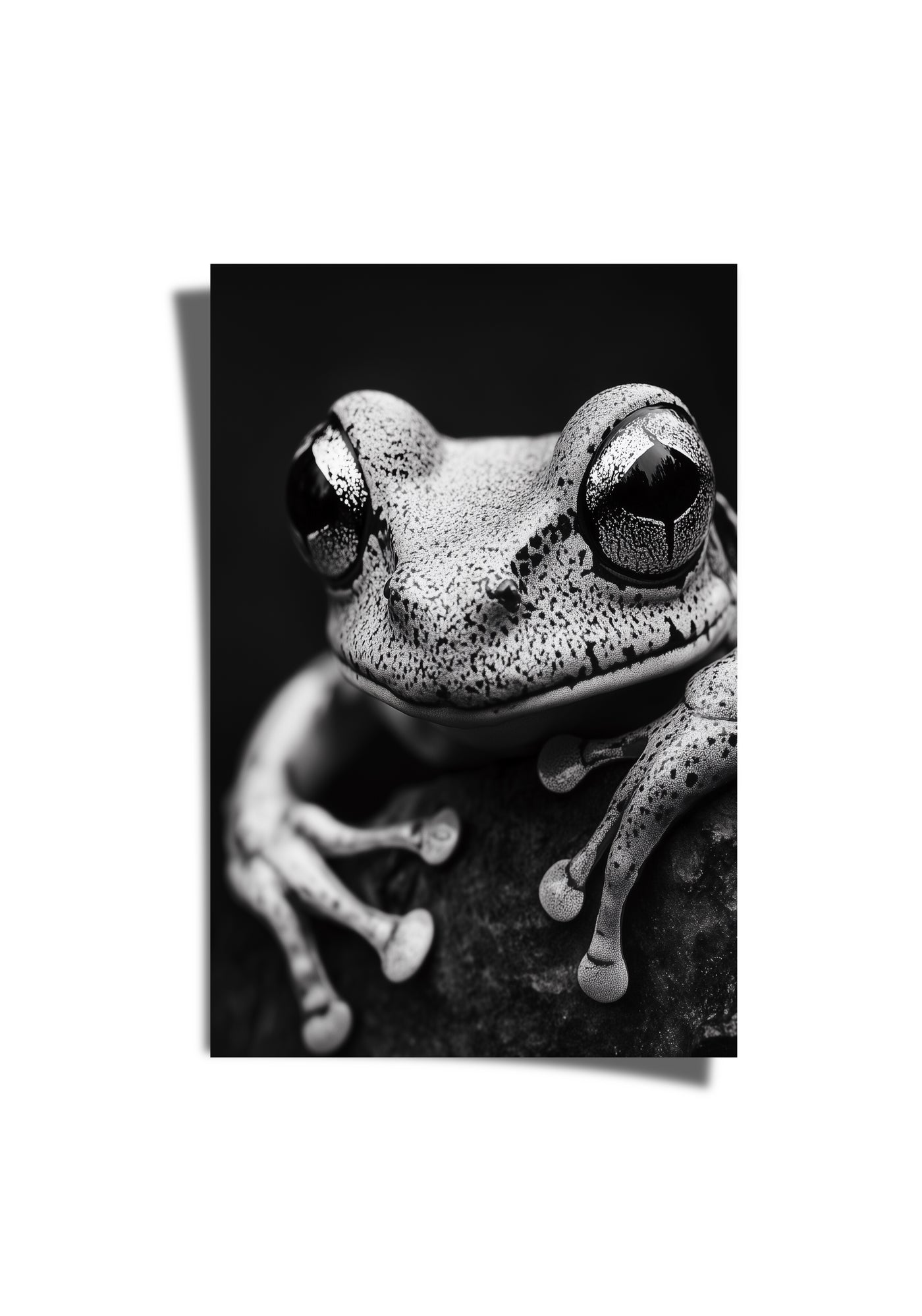 Frog Life