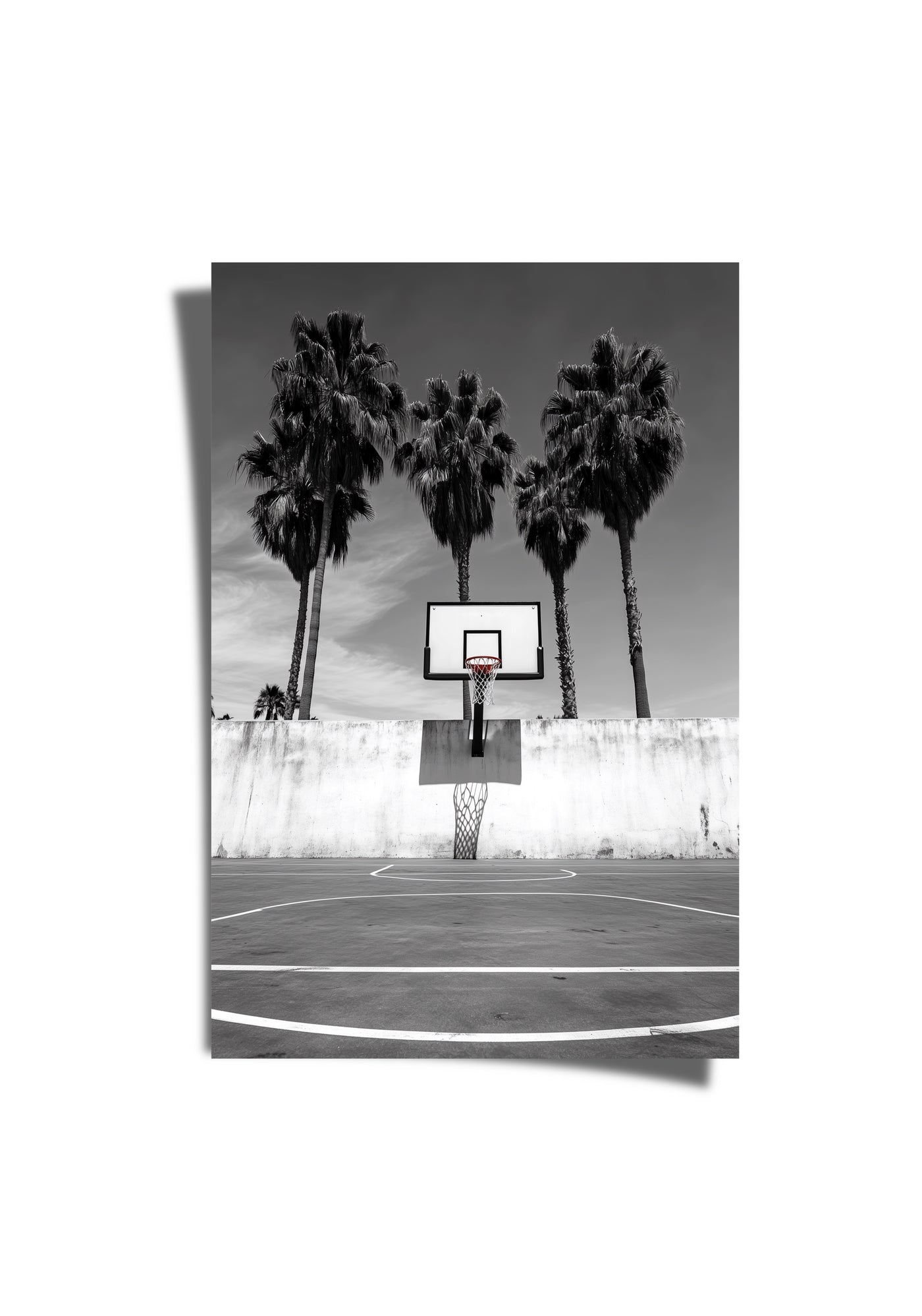 Ball Is Life