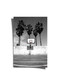 Ball Is Life