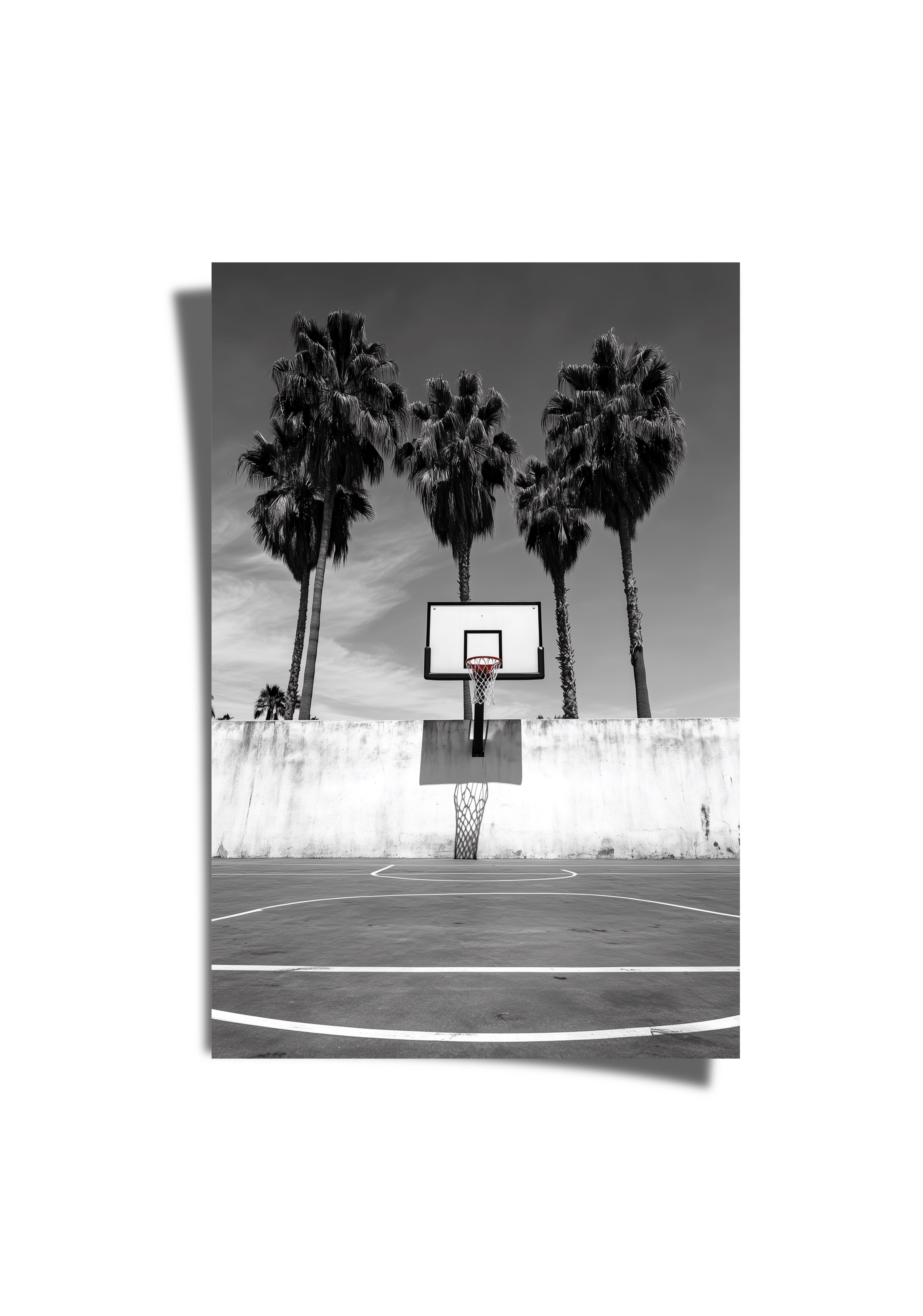Ball Is Life