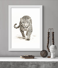 White Tiger Poster